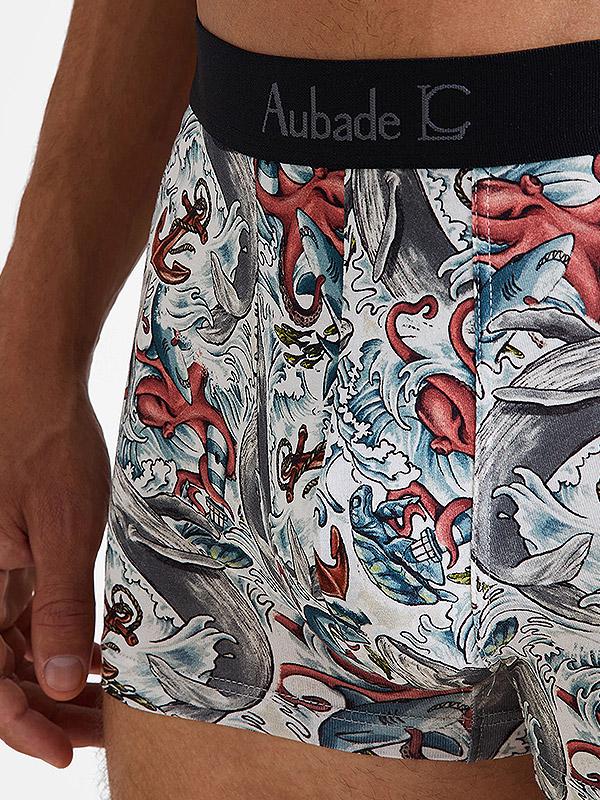 Aubade by Camille Lacourt Cotton Boxers Timothy White - Multicolor
